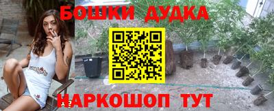 амф Камышлов