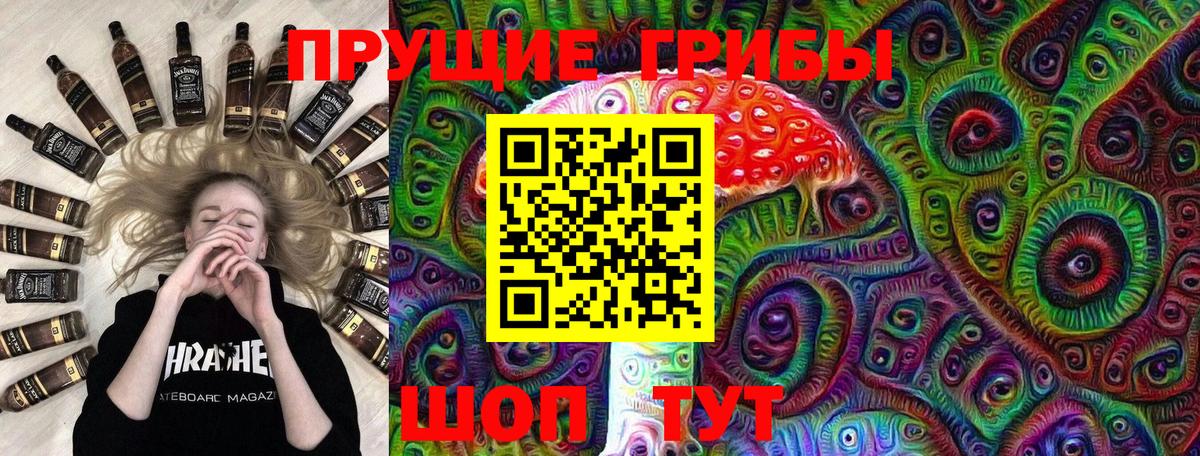 Галлюциногенные грибы Psilocybe Ялуторовск