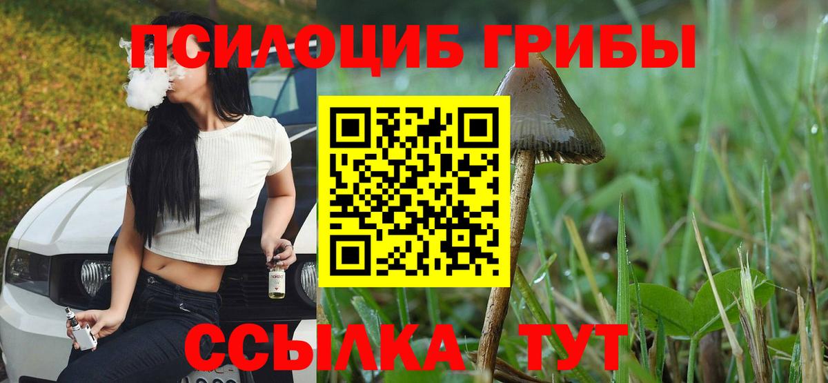 Галлюциногенные грибы мицелий  Галлюциногенные грибы MAGIC MUSHROOMS  Вход с VPN  Ялуторовск 